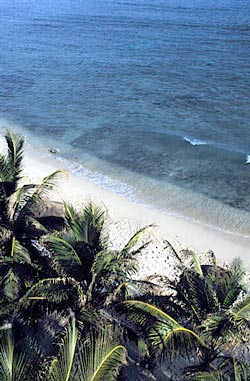 akumal hotel beach front condos mexico all suites hotels akumal mexico